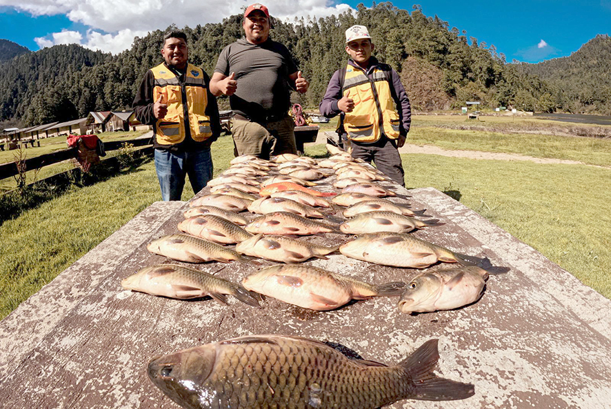 Control de especies invasoras Zempoala