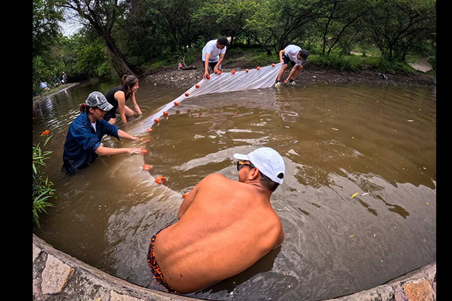 Evaluación de peces