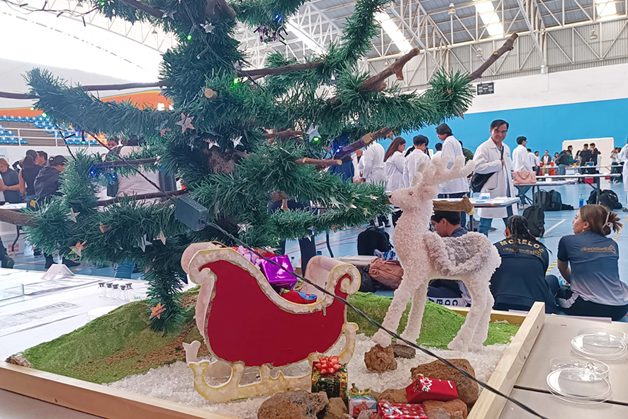 Jugando con los cristales5