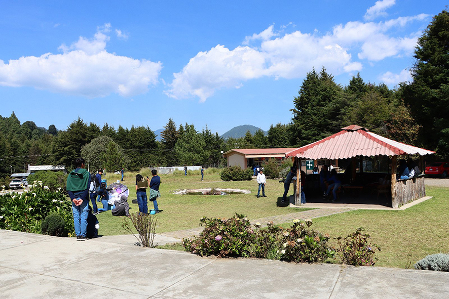 Proyecto árboles de navidad FCAeI2