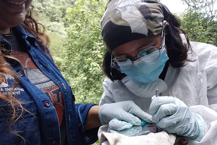 Avila-Torresagatón_2023_Trabajo_de_Campo_Alma