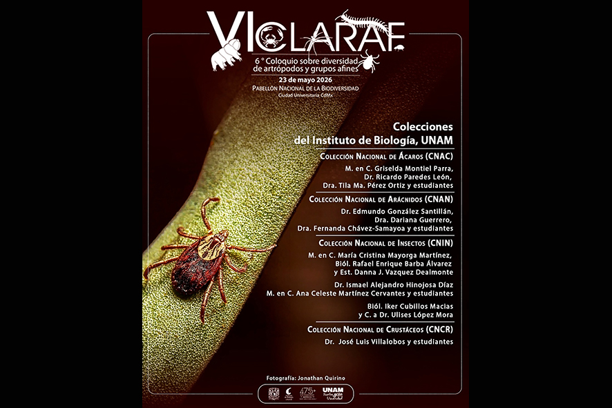 Cibyc insectos 1