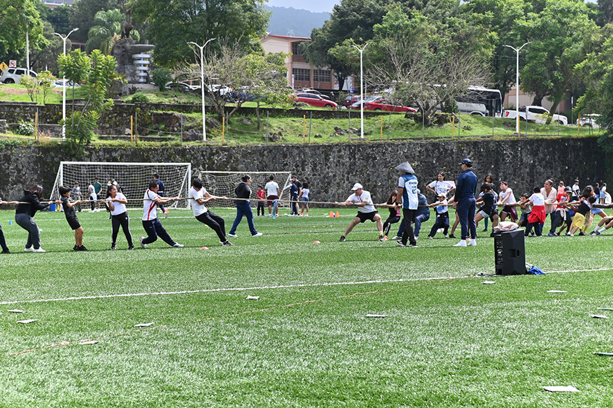 Curso venaditos1