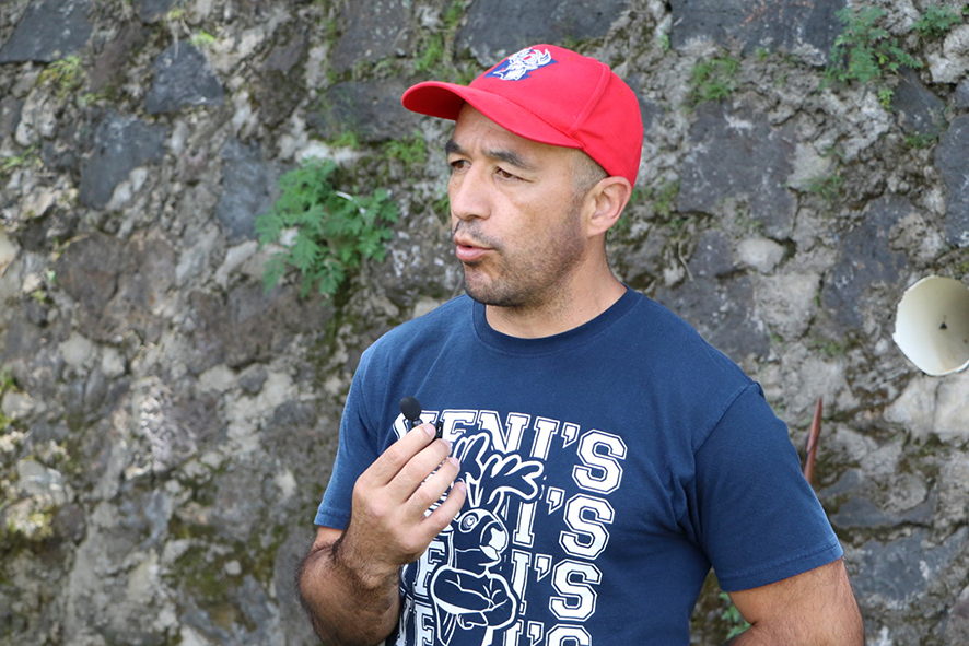 Curso venaditos2