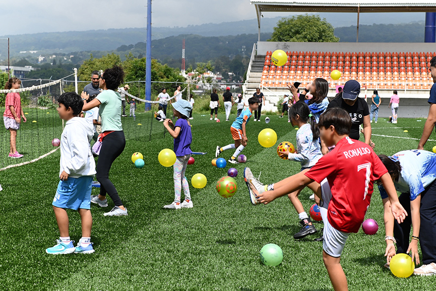 Curso venaditos3