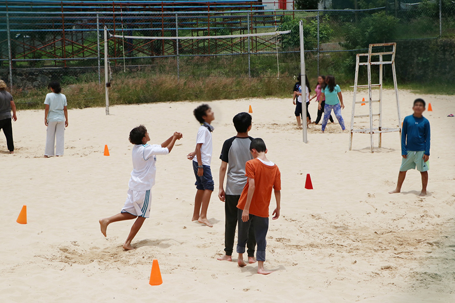 Curso venaditos4