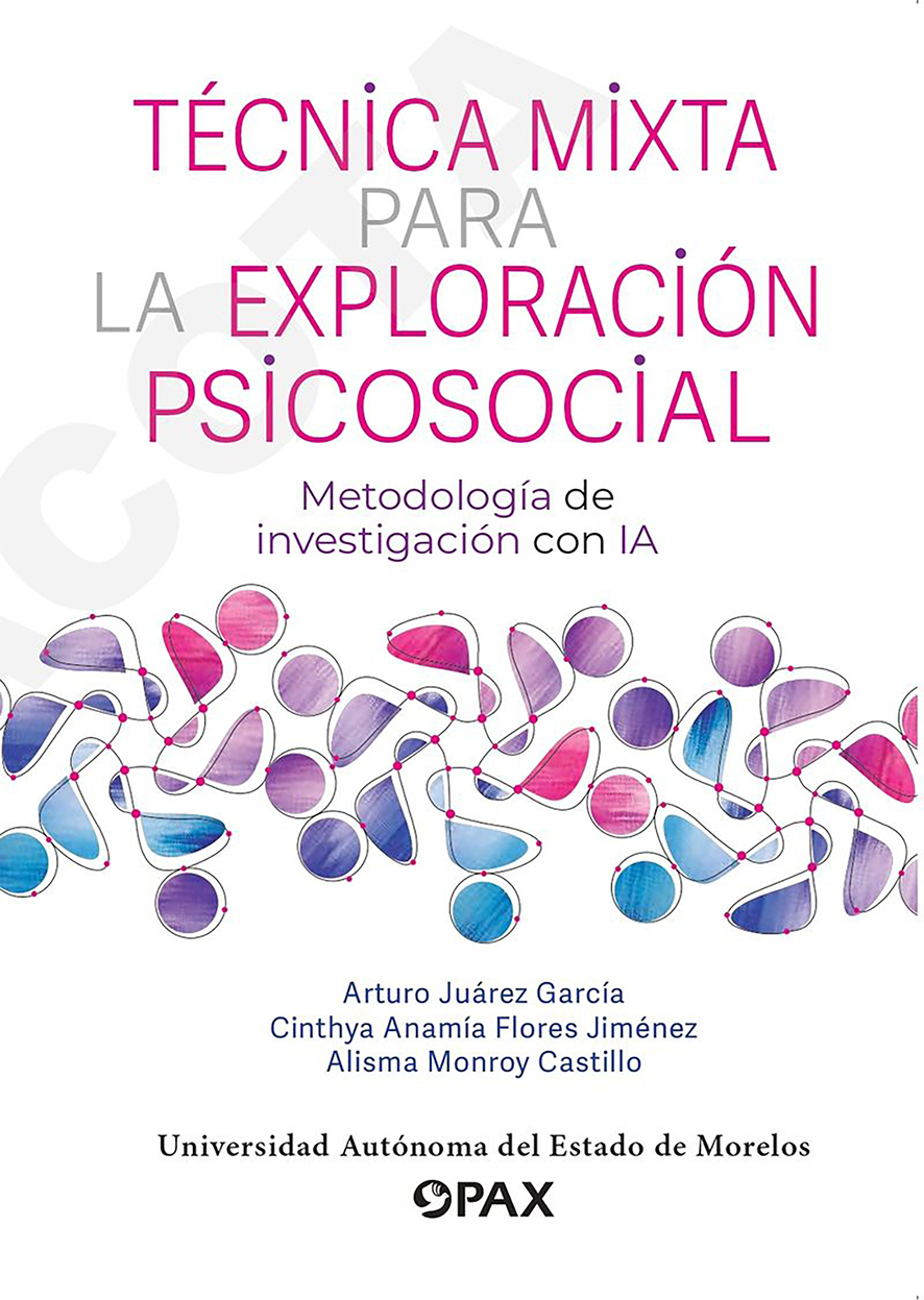 Técnica mixta